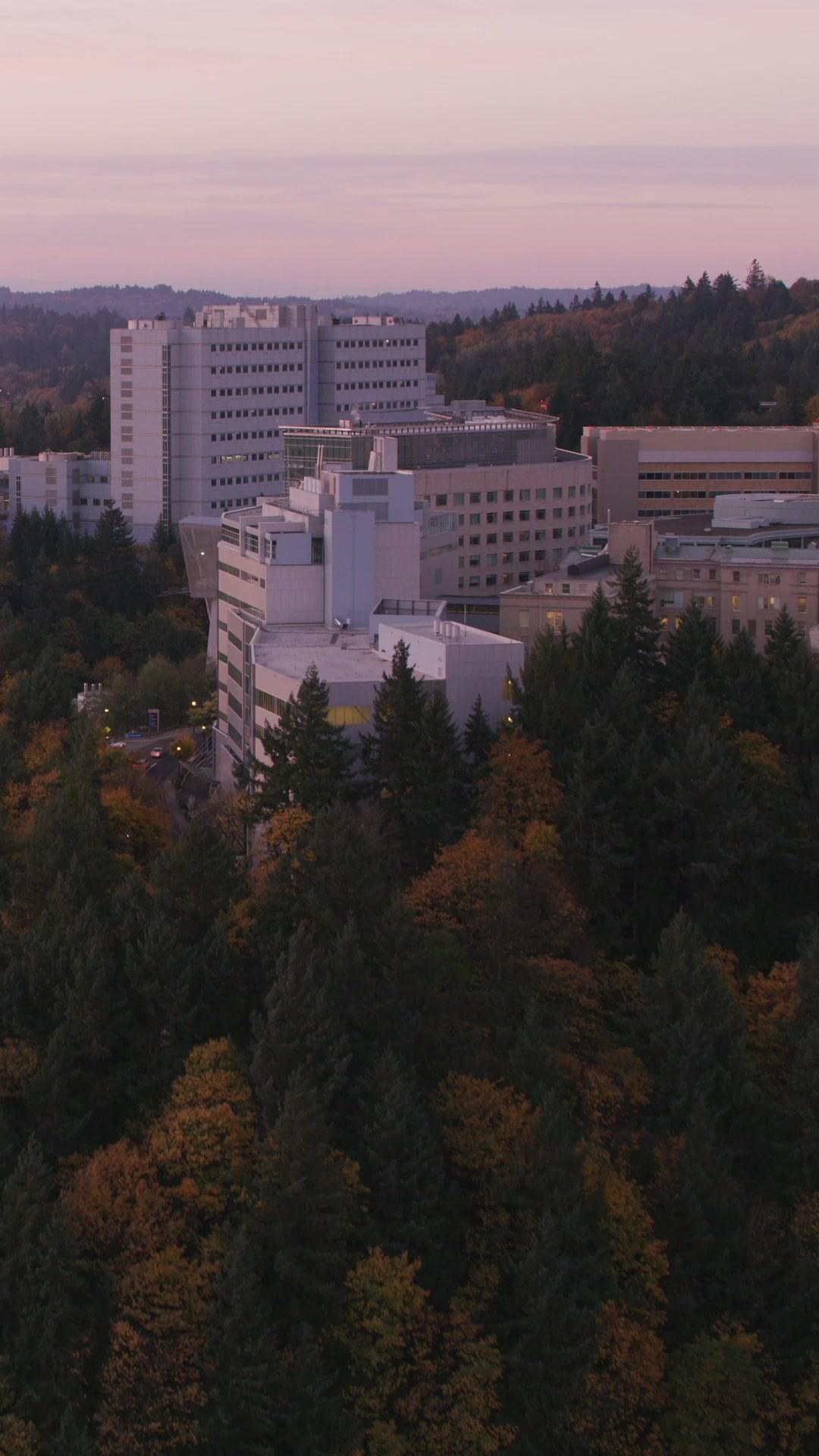 Tutkulu Sırların Ardında