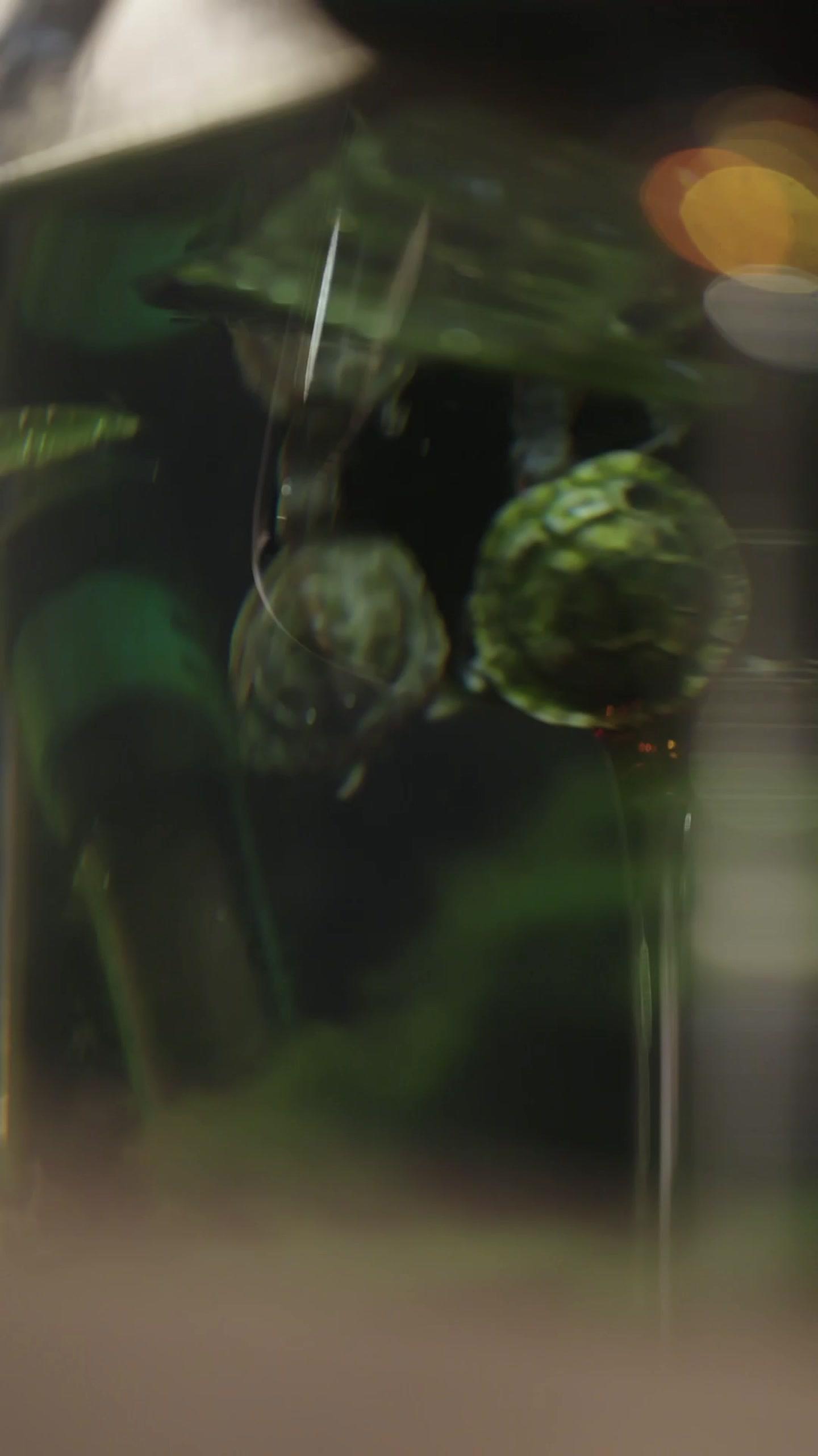 城南花開，你別走