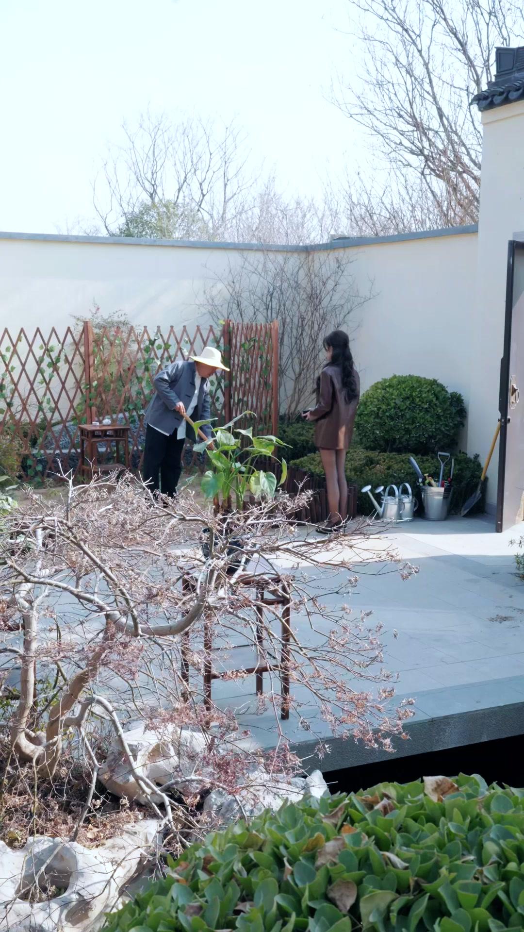 仙君，今晚不修仙