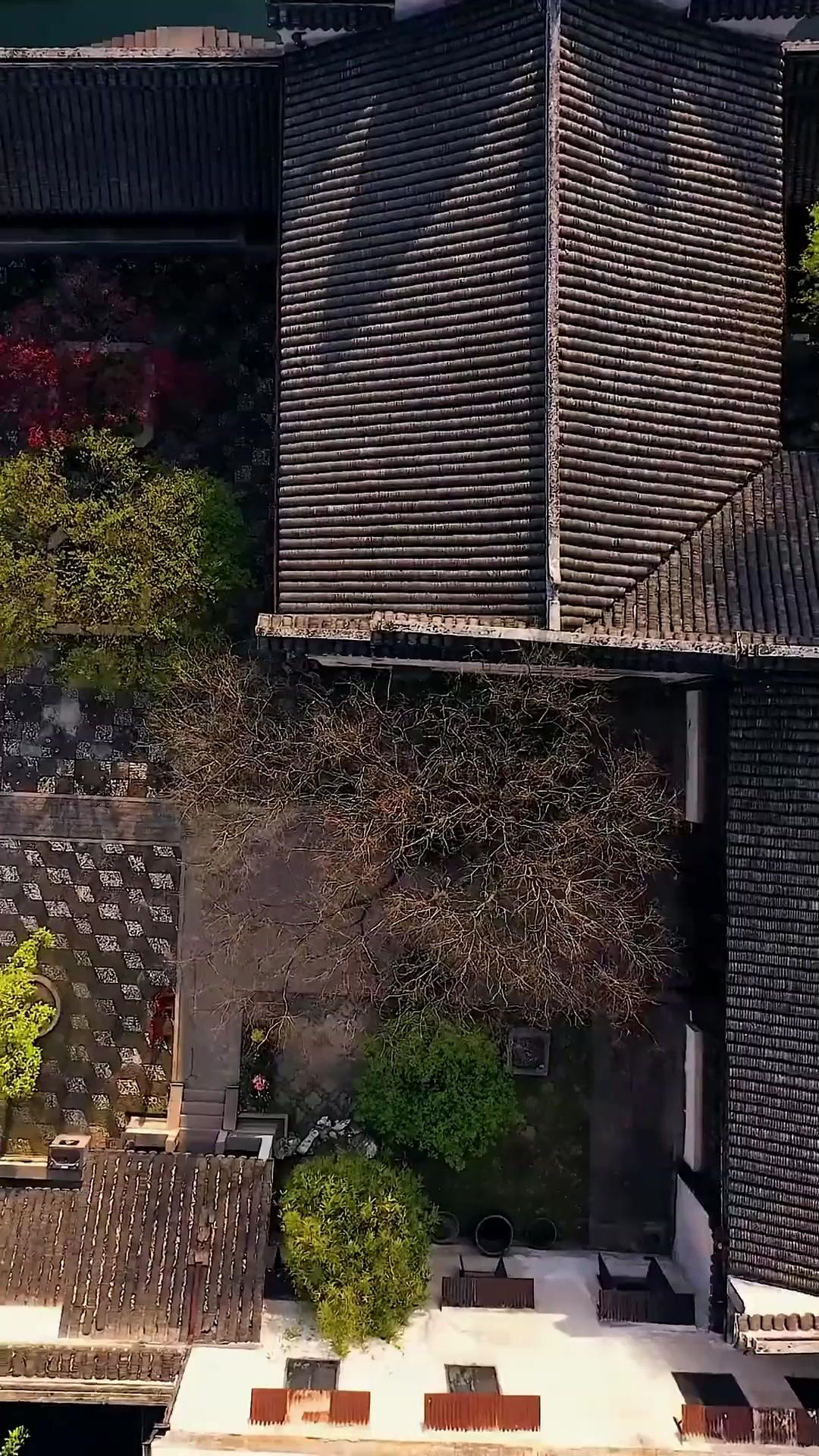 여무신, 다시 깨어나다