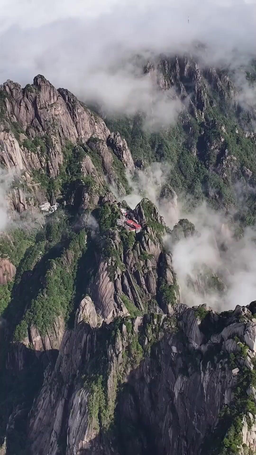 武の天才 ここに降臨