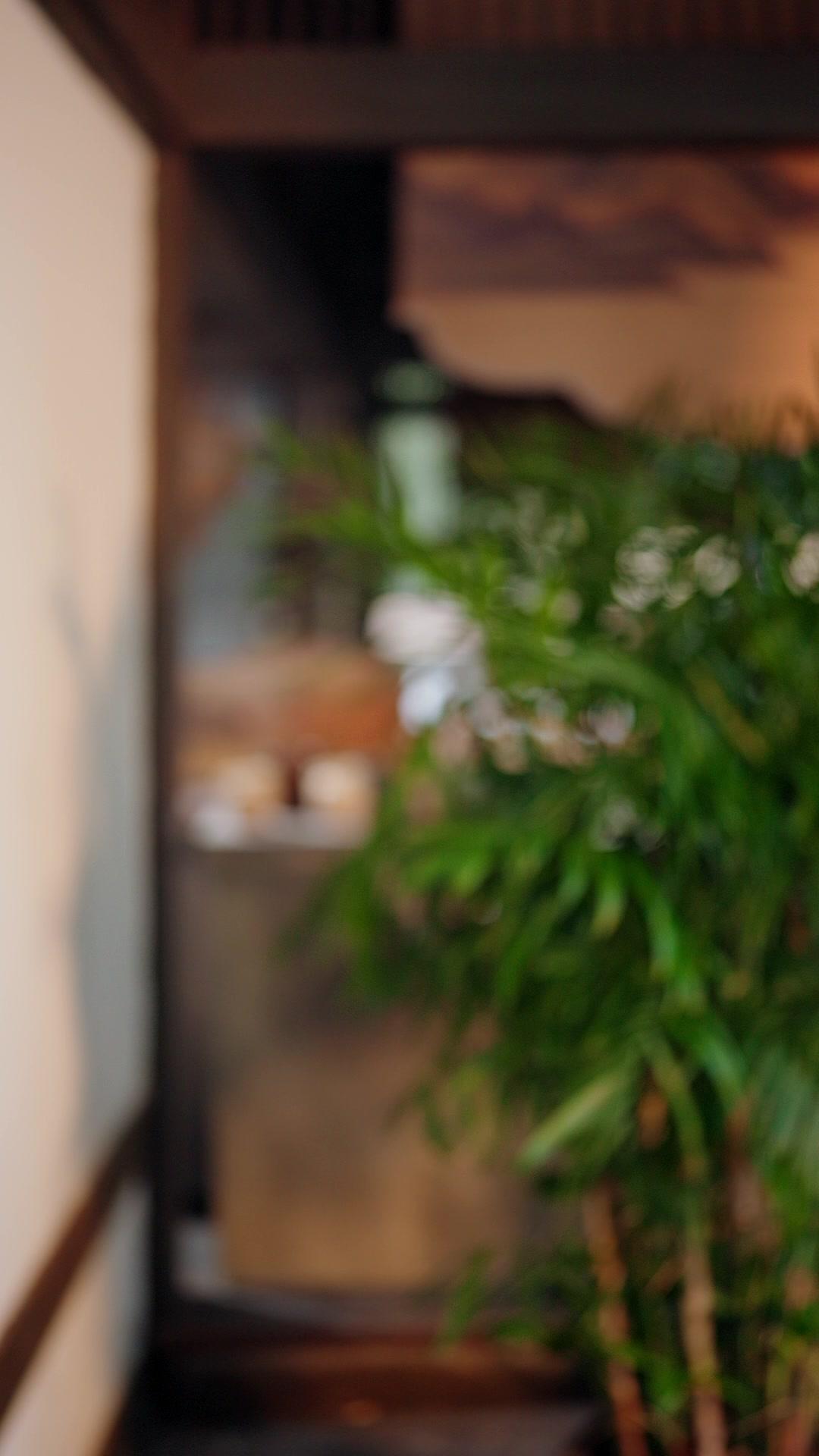 Kebangkitan Sang Kultivator