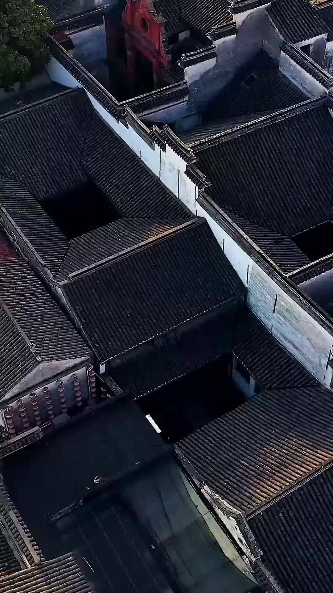 (吹き替え) 逆襲！二つの顔の復讐者