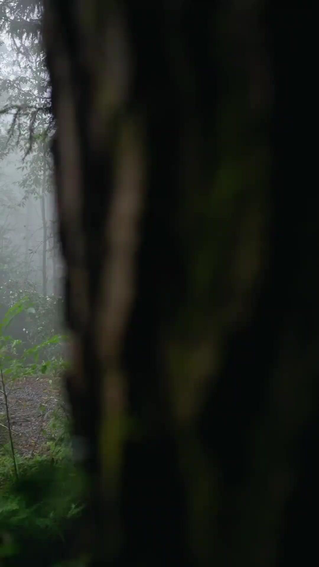 Jangan Remehkan Ayahku