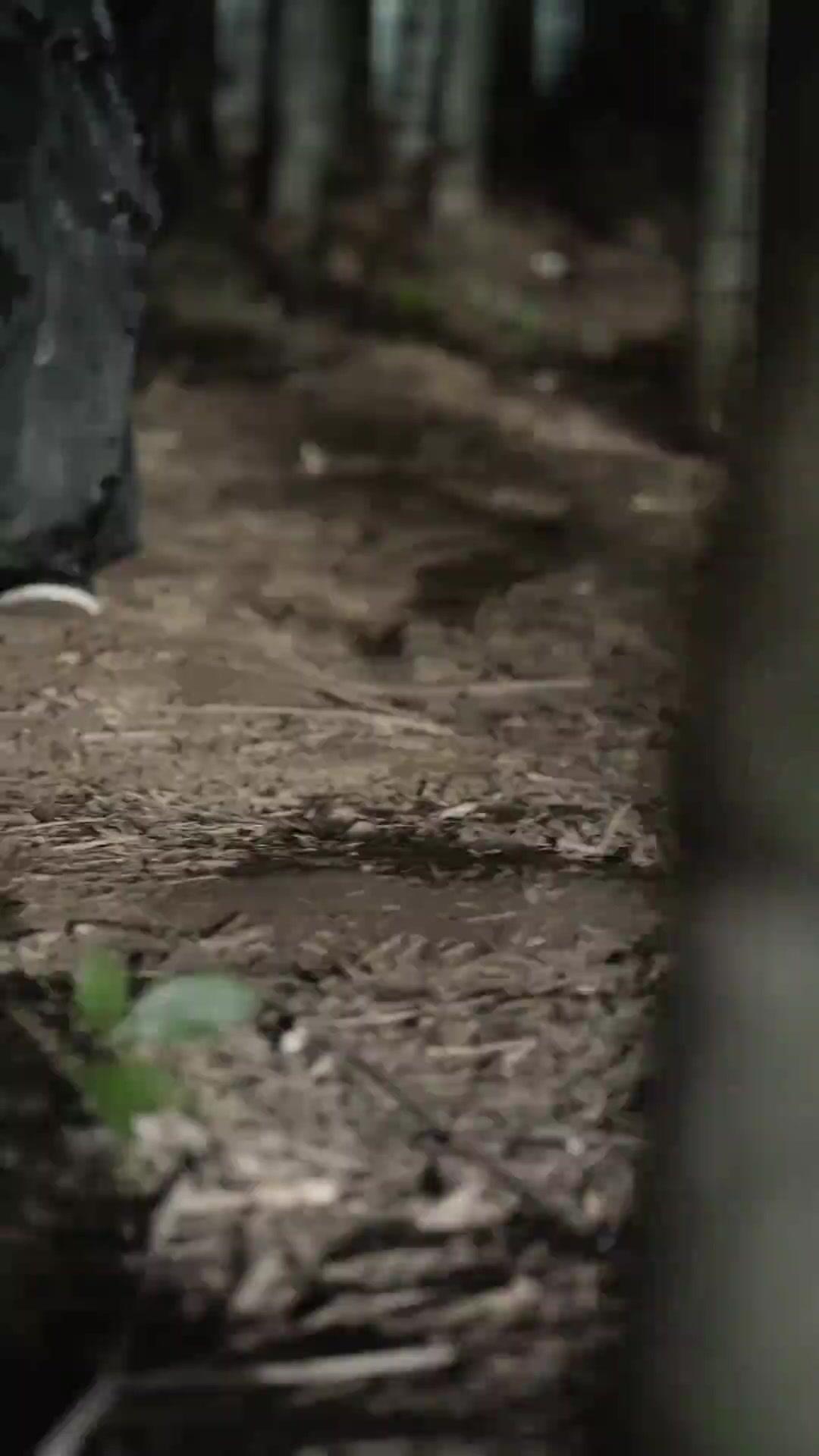 (Dublajlı)Yükselen Zafer