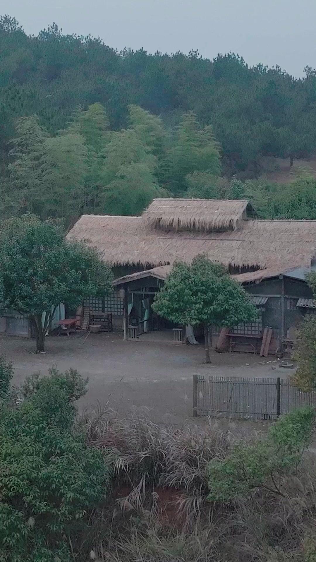 我有一口浩然氣