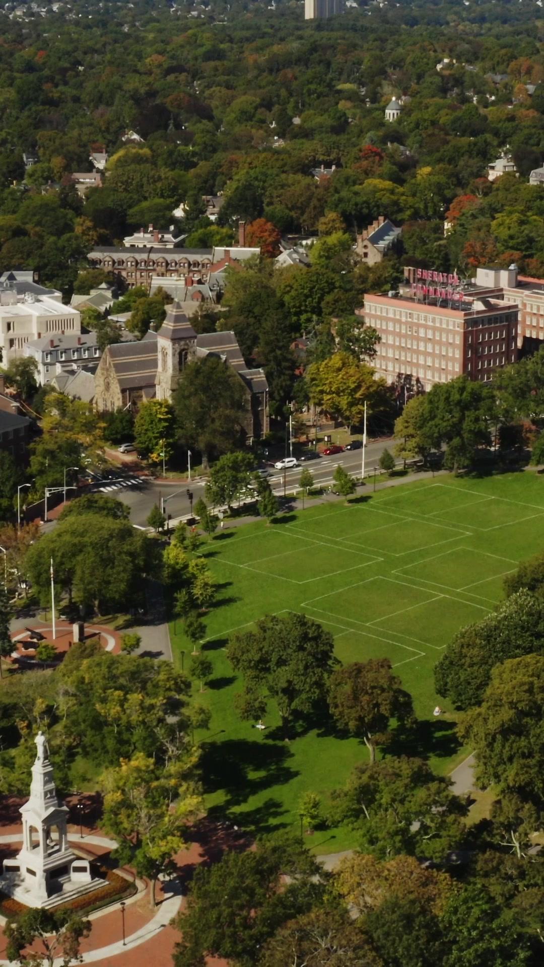 Madre por error, amor por destino