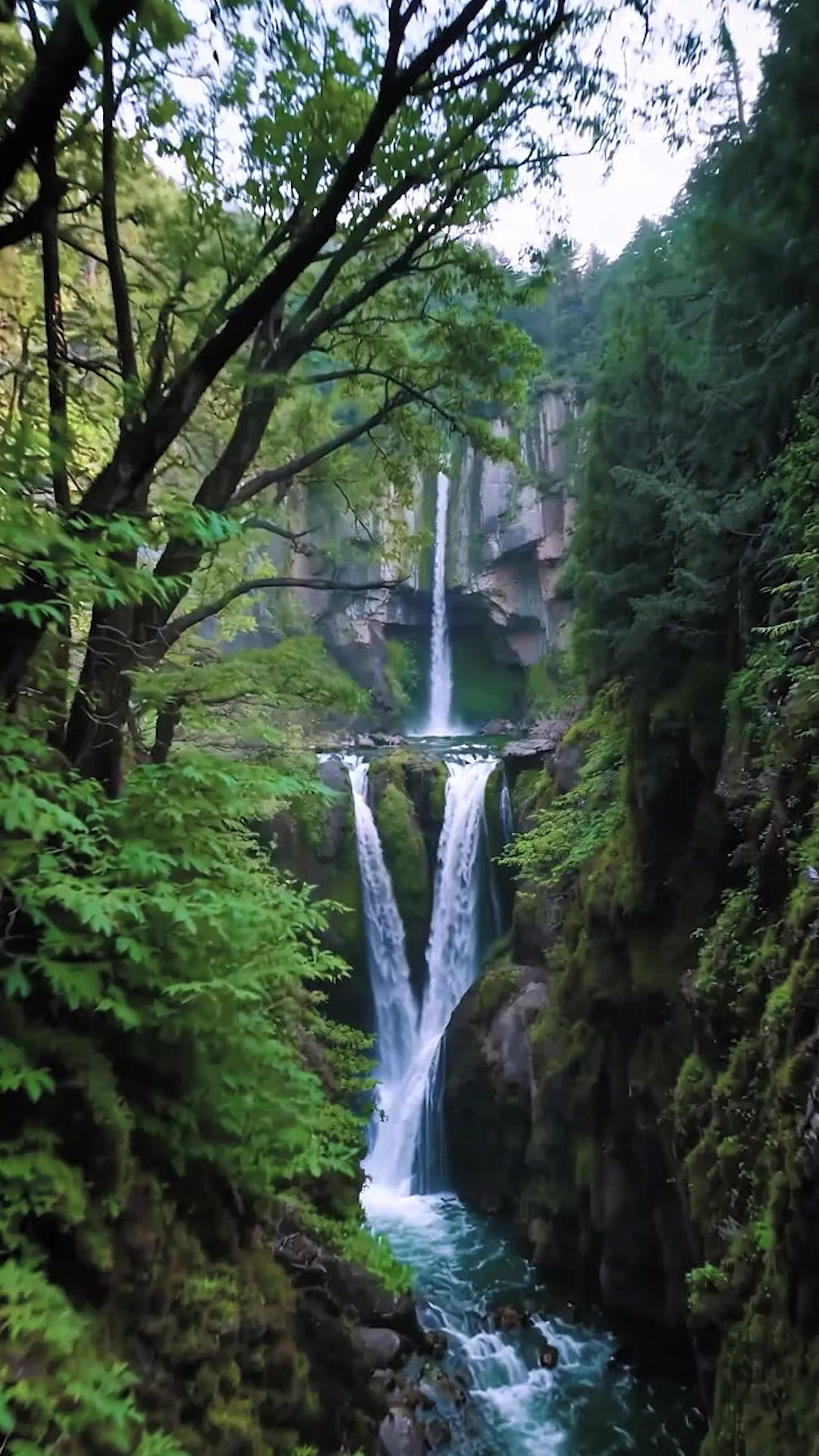 Left to Die, Back to Kill