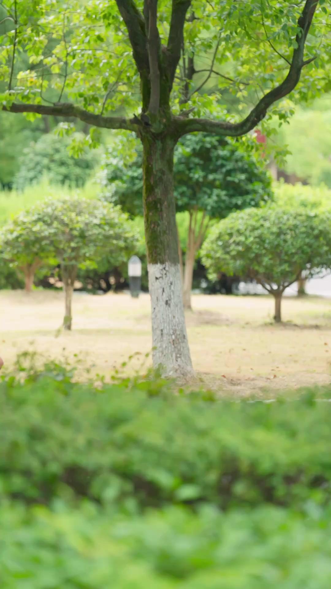 Sguardo Celeste su Nordfiume