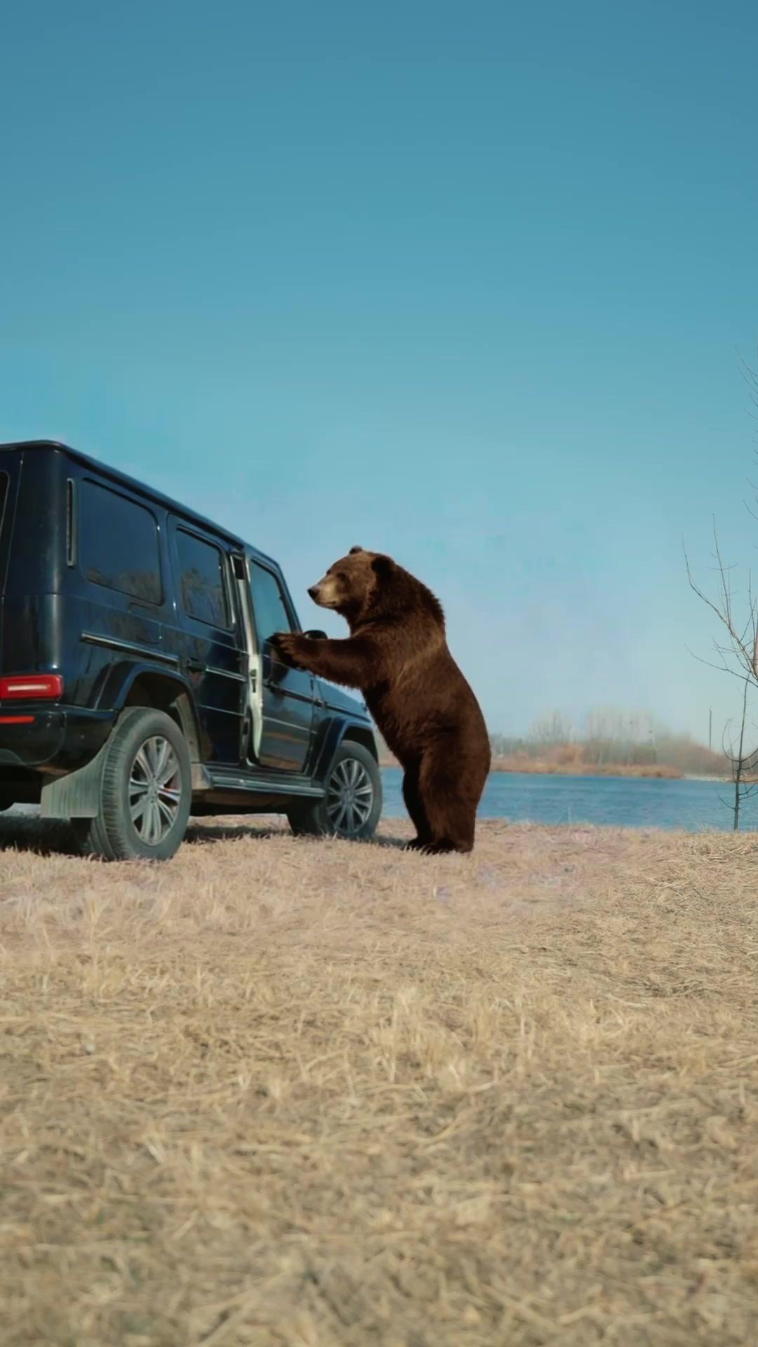 CEO’s Boyfriend Hits Different