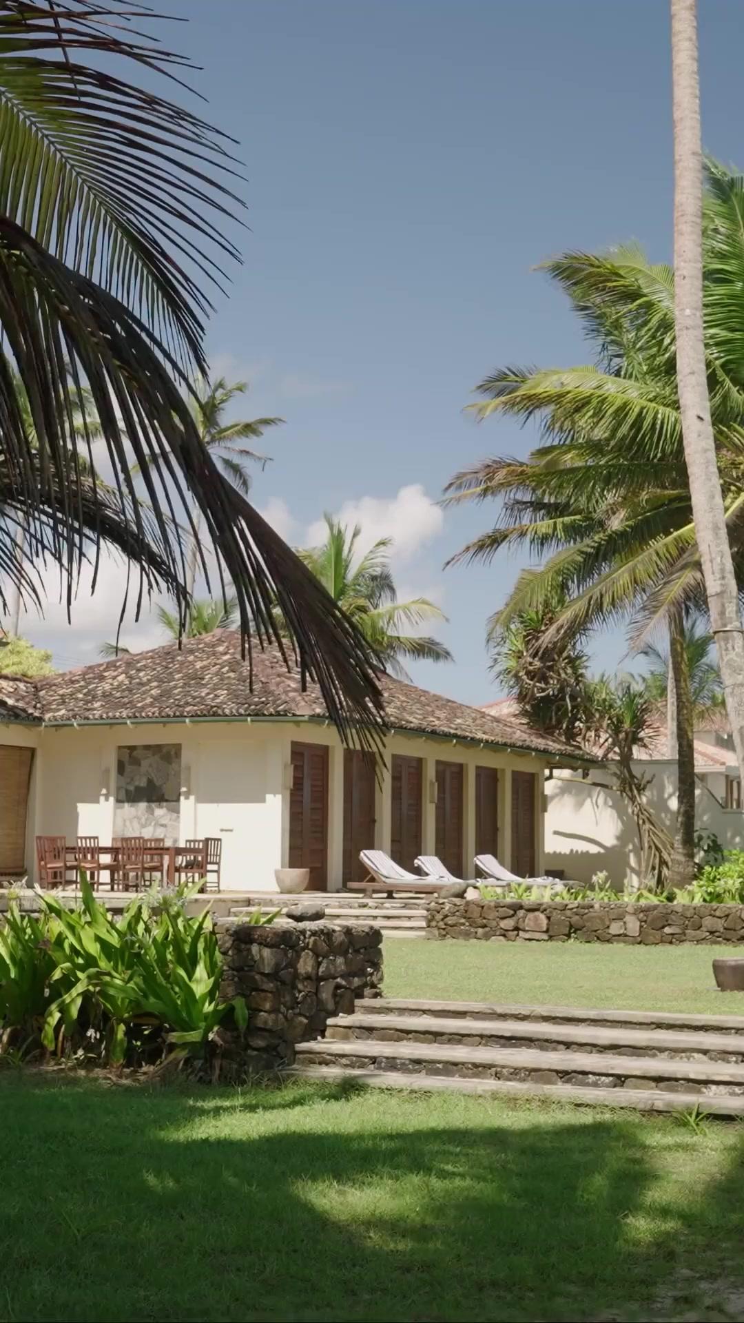 (Doblado) Amor forzado al CEO