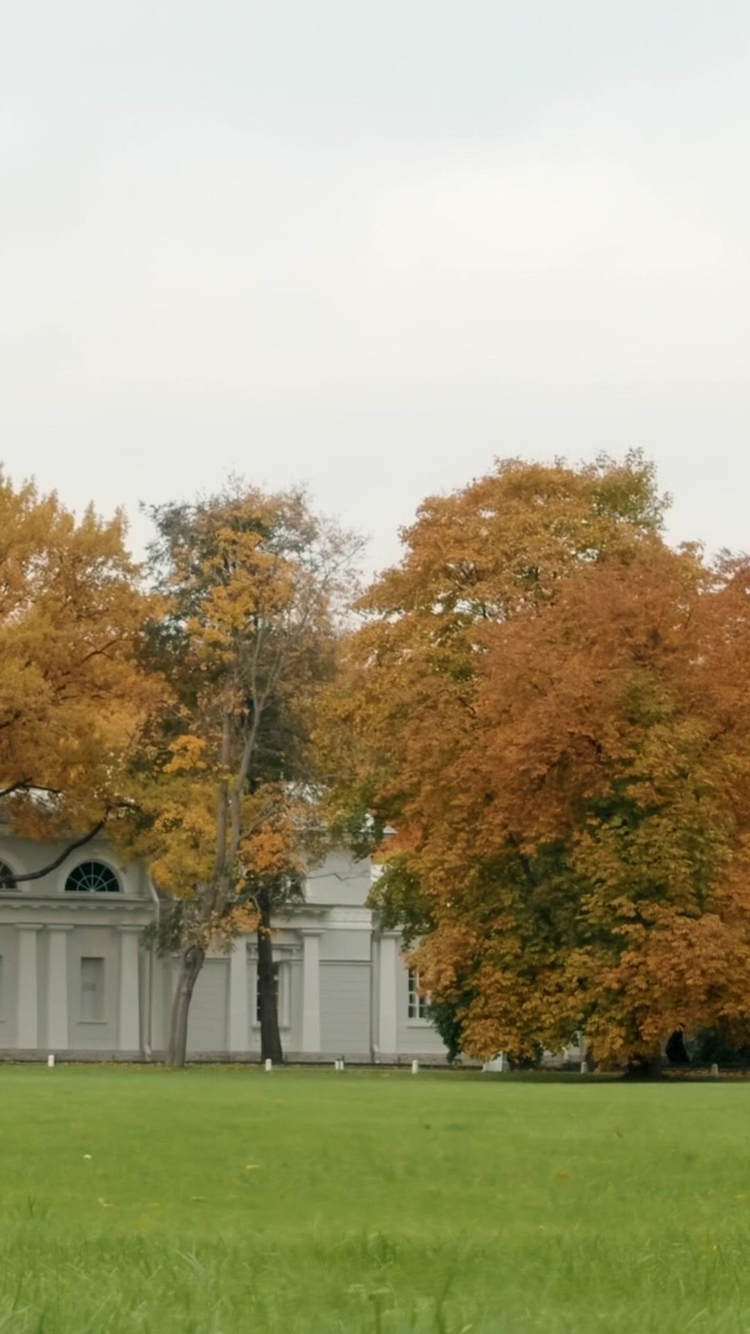 MON PDG, CESSEZ VOS JEUX