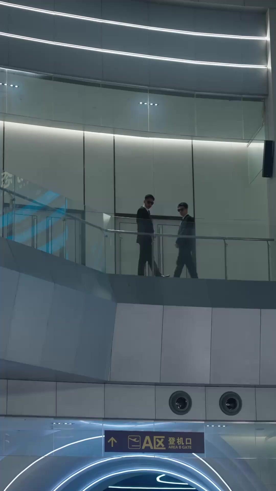 Mawar dan Pohon Pine