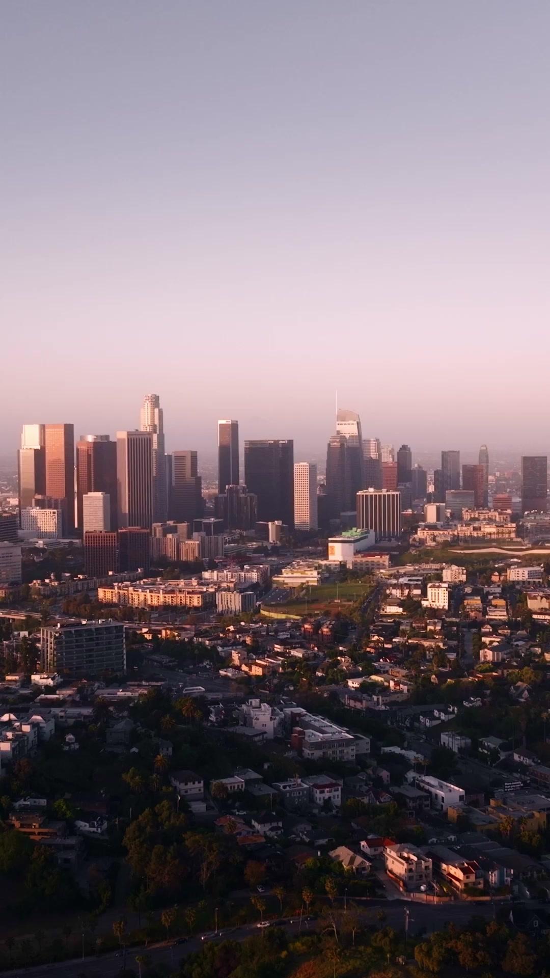 Dr. Norman Please Love Me!