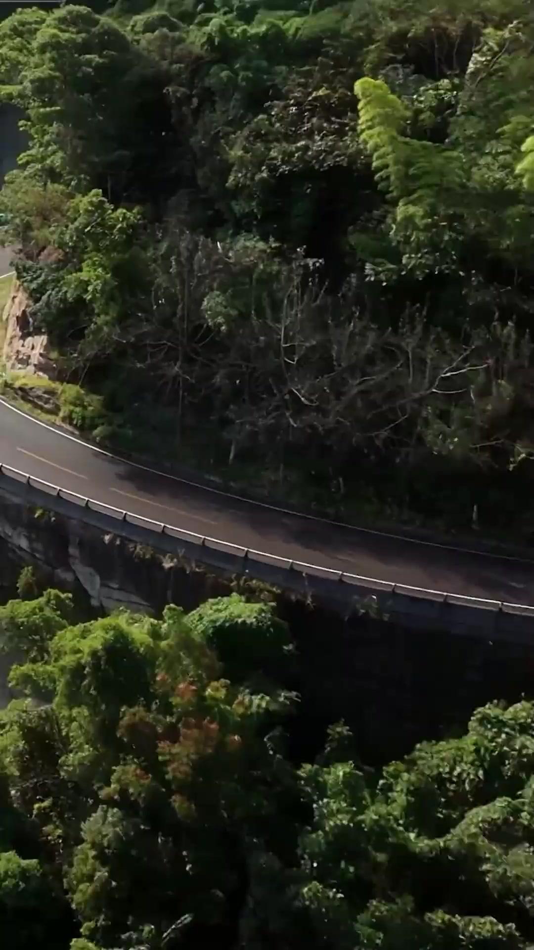 (Dublajlı) Taşıyıcı: Zorlu Görev