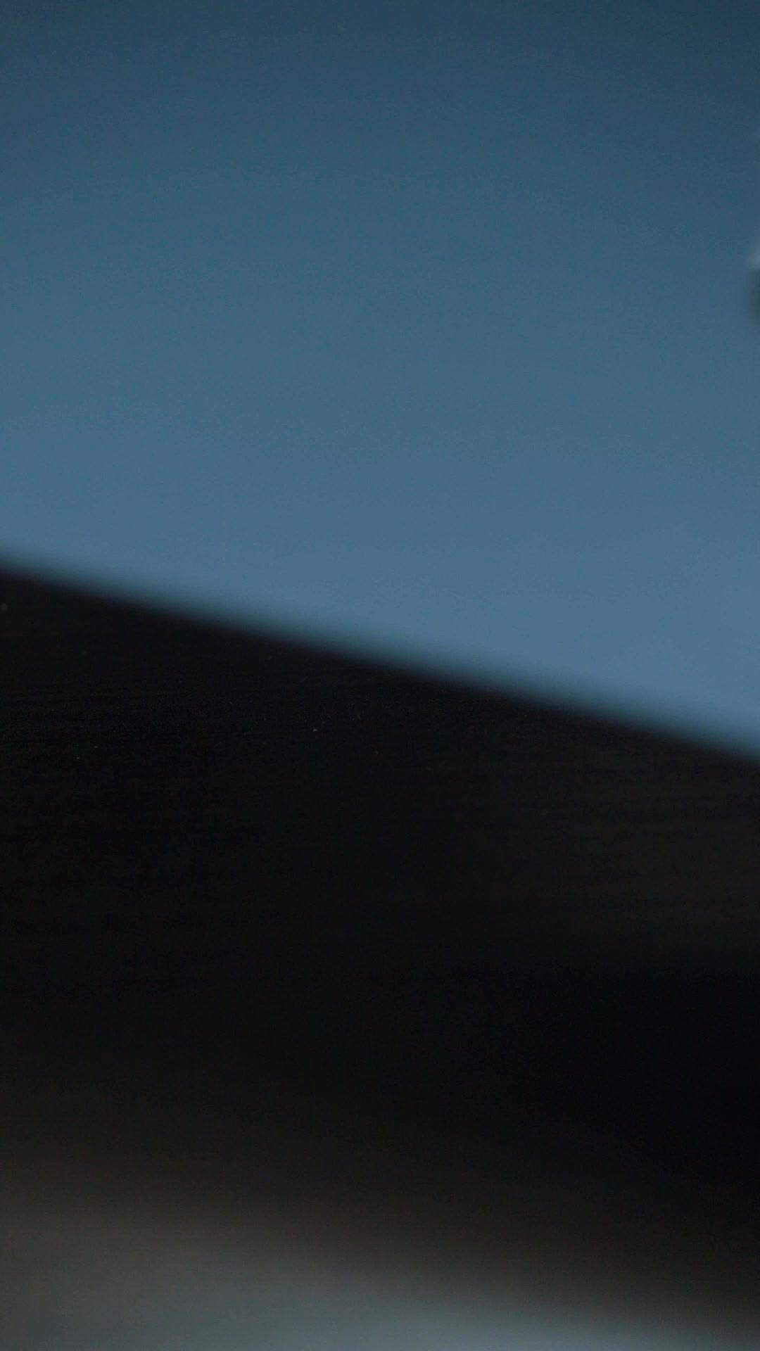 契約から始まるさよならの恋