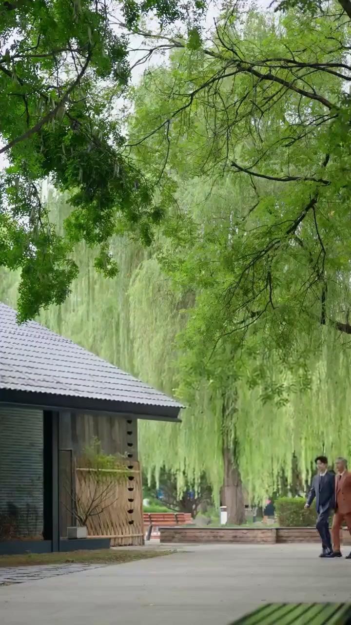 Per Sopravvivere, Mi Stringo al Mio Nemico