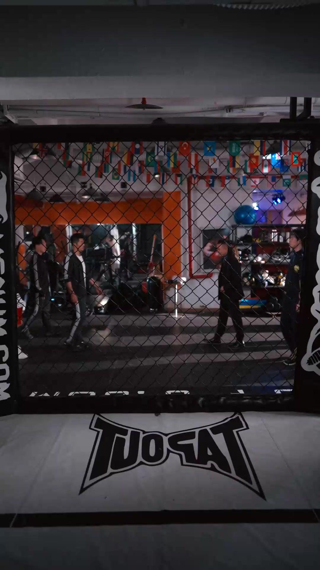 OMG! The Boxer King is Back!