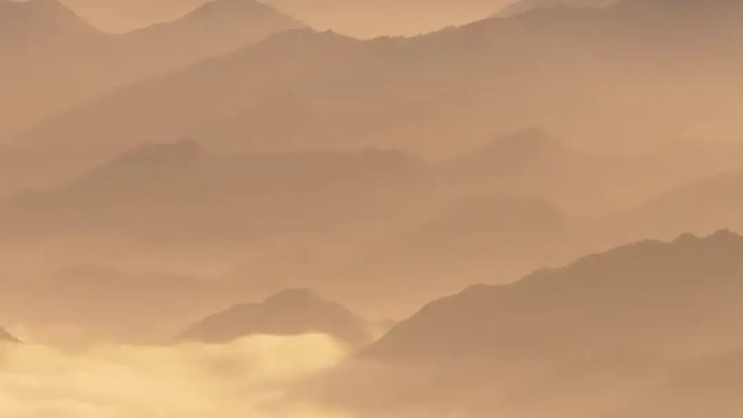 Iron Fist, Blossoming Heart: When the Roof Speaks Louder Than Swords