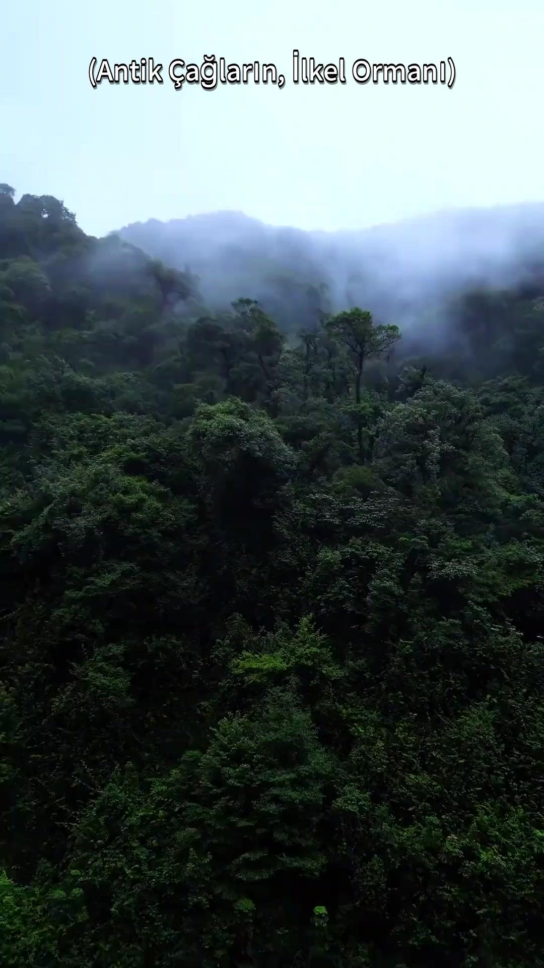 Rüzgarın Yıkıp Geçtiği Yaban Toprakları