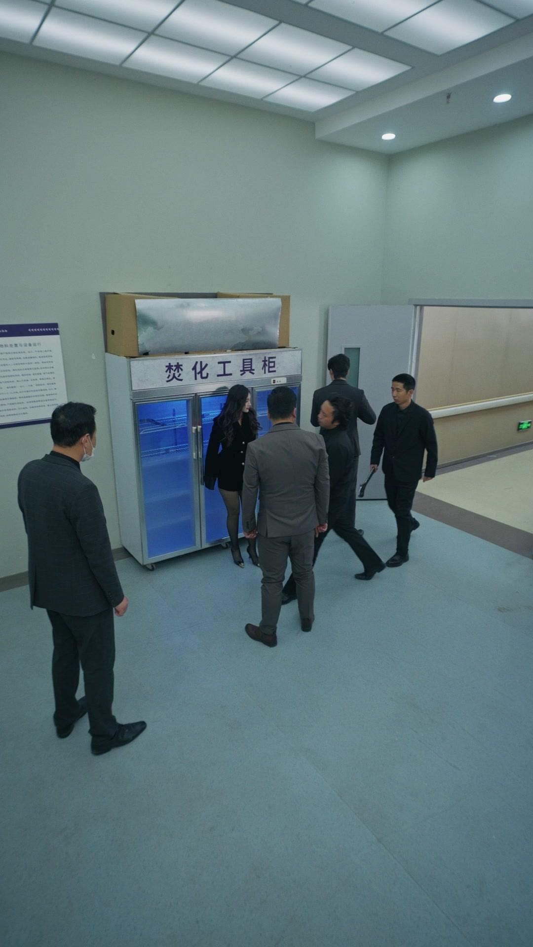 Stolen Face, Stolen Life