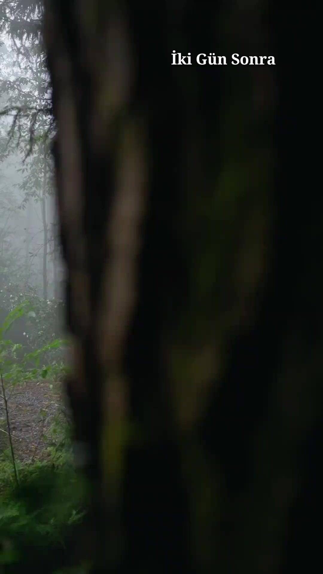 (Dublajlı) Babamı Küçümseme