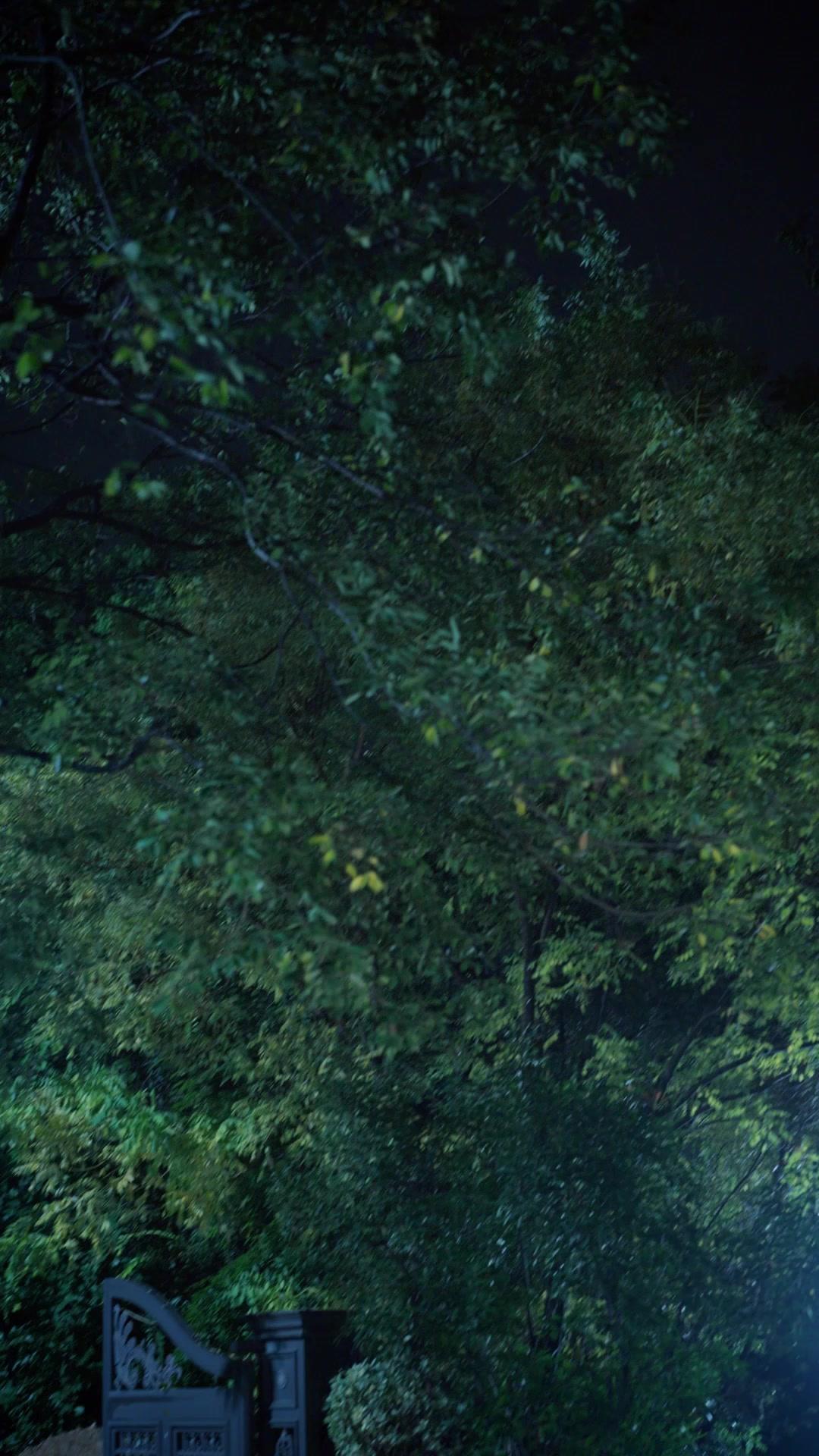 그 남자 좋아하지 마