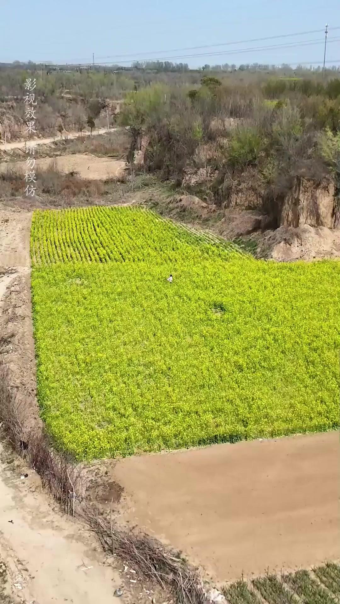 Kick-Ass Mommy Strikes Back