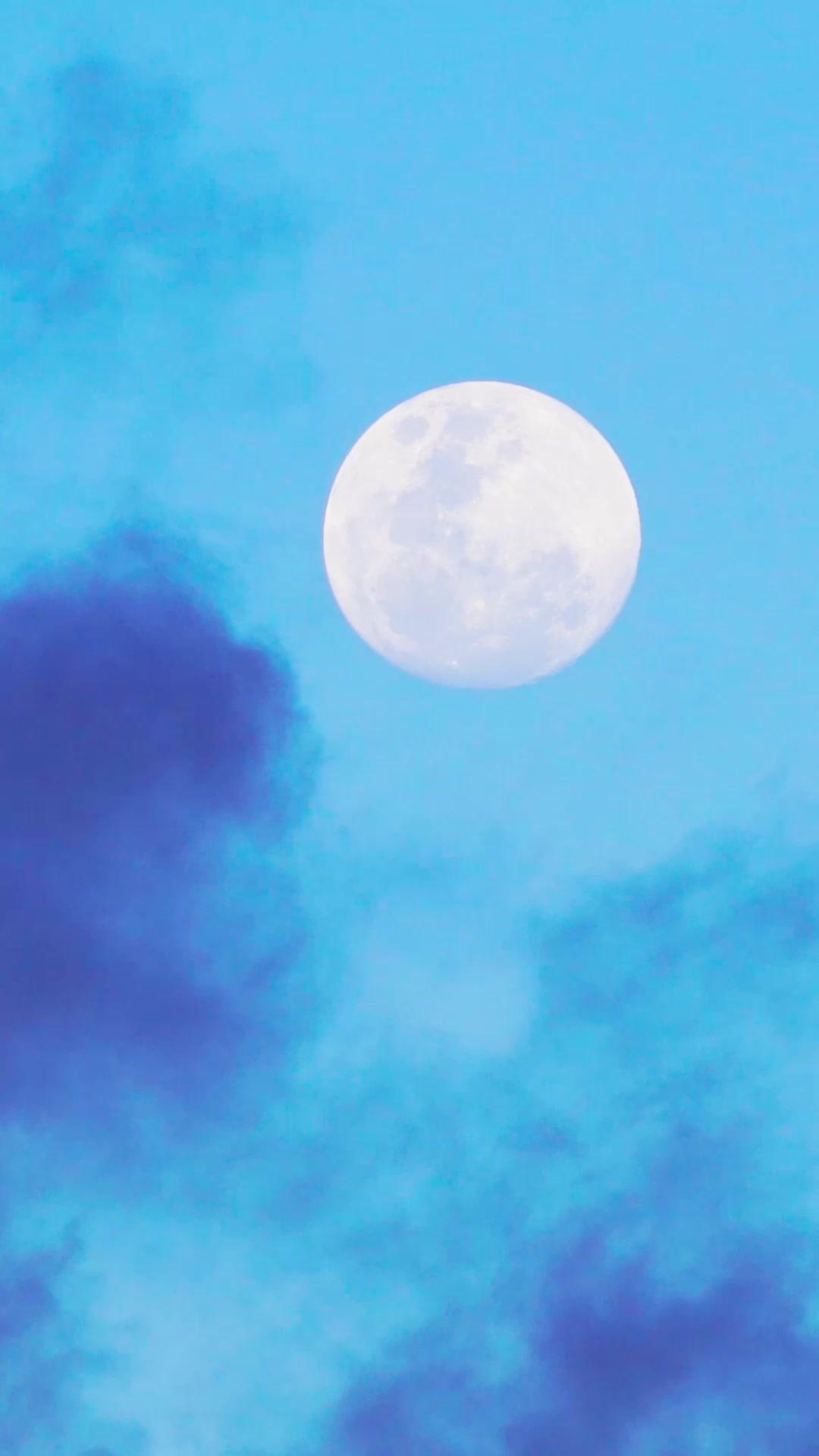 DUMPED! To My Brother's Enemy