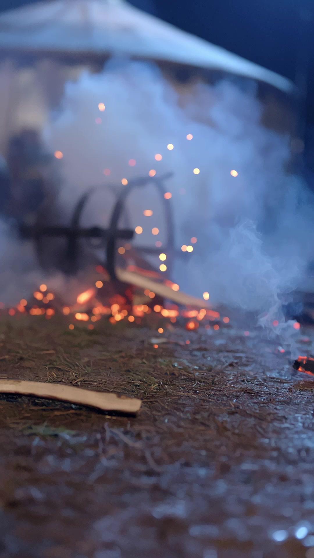Consentida por mi esposo tirano