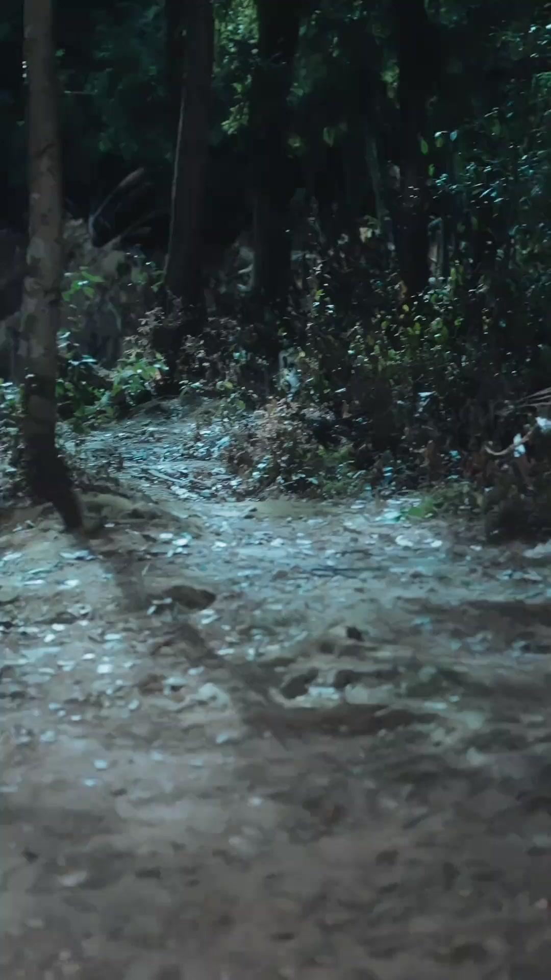 (吹き替え)農夫の成り上がり ～女帝を妻にした男の伝説～