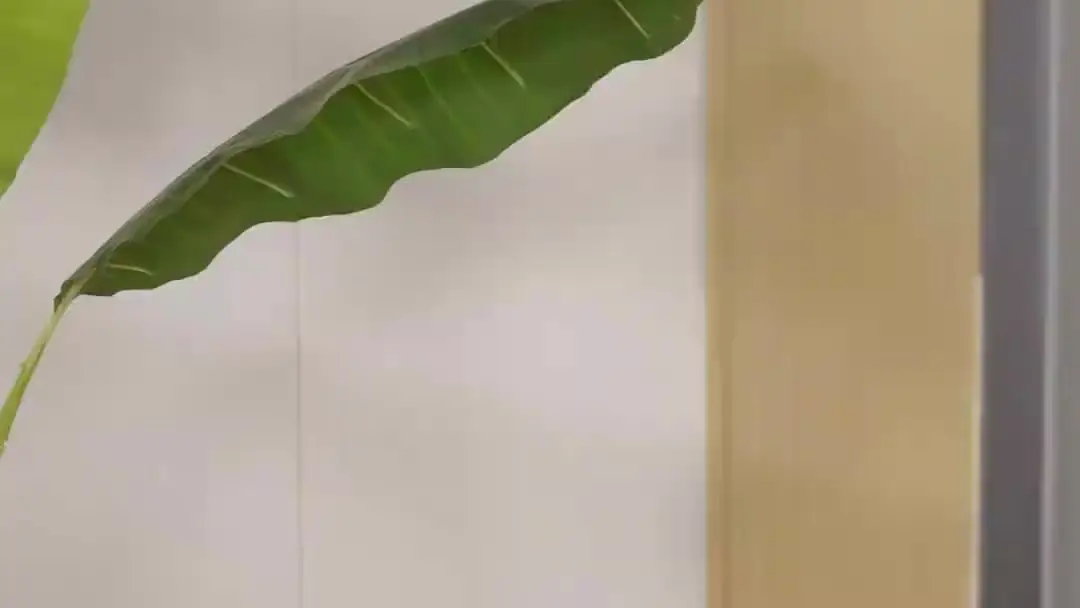 (Doublage) MA FEMME, LA PDG : Quand le nouveau président sort de l’ombre