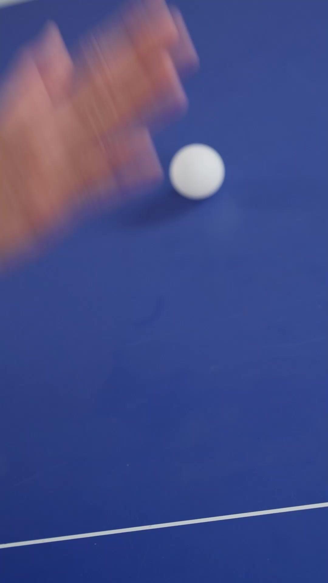 Pequena Notável: A Vingança da Campeã