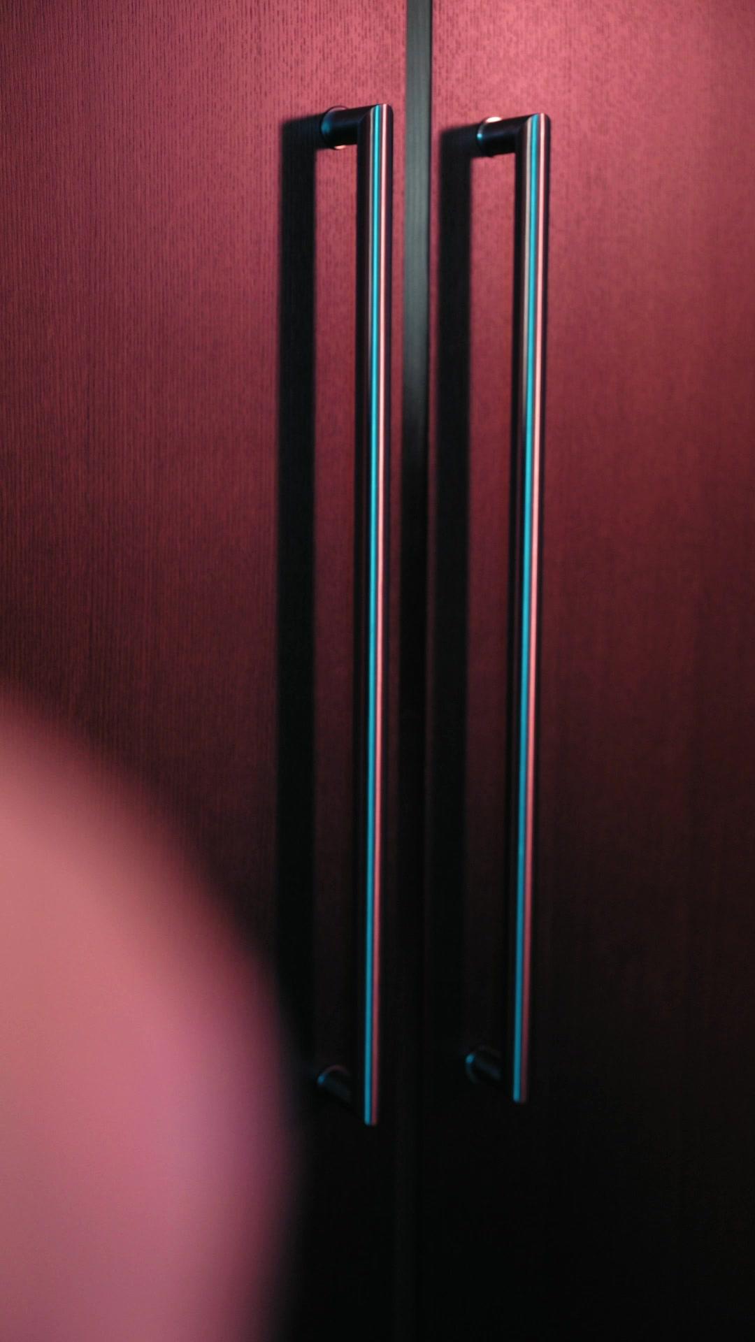 A Noiva Predestinada do Rei Alpha