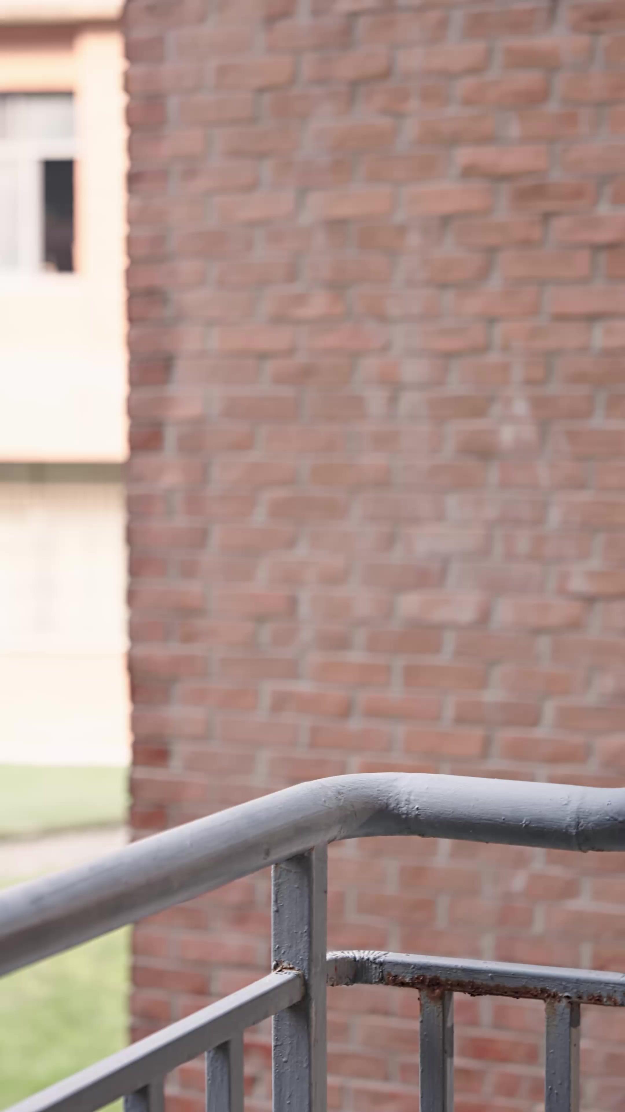 Algoritmo da Vingança do Gênio