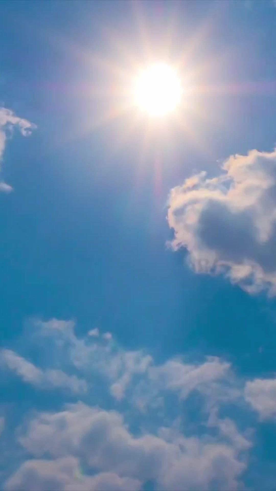 Need a Wedding Crasher? Lifetime Chaos Guaranteed