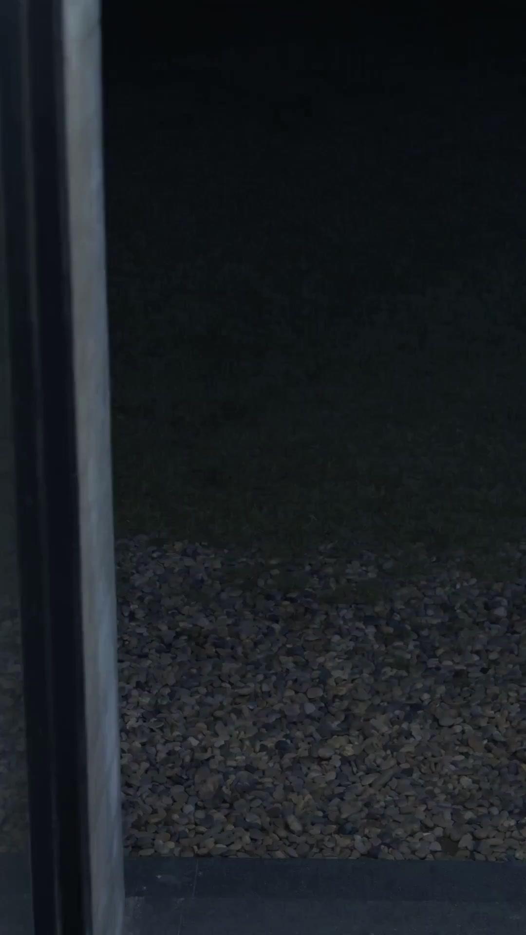 (더빙) 회장님, 저는 신입이에요