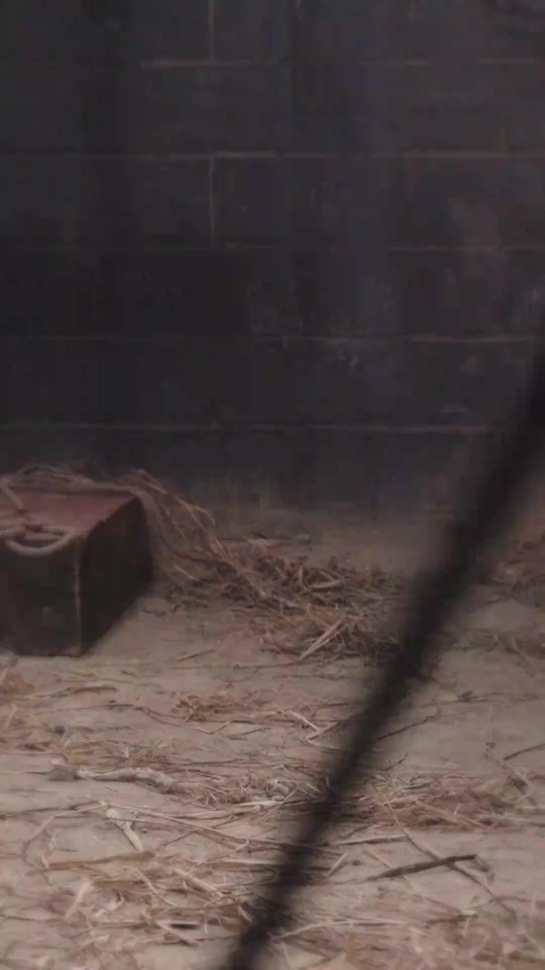 LES ÉTOILES INTERDITES