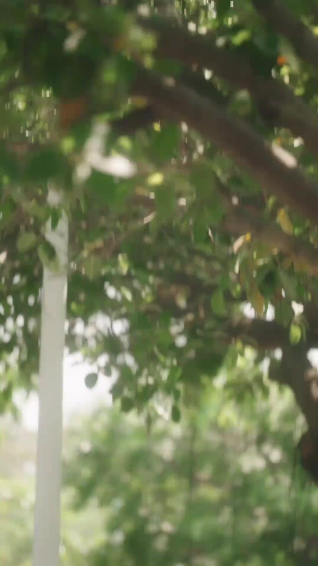 My Great-Grandma from the Past