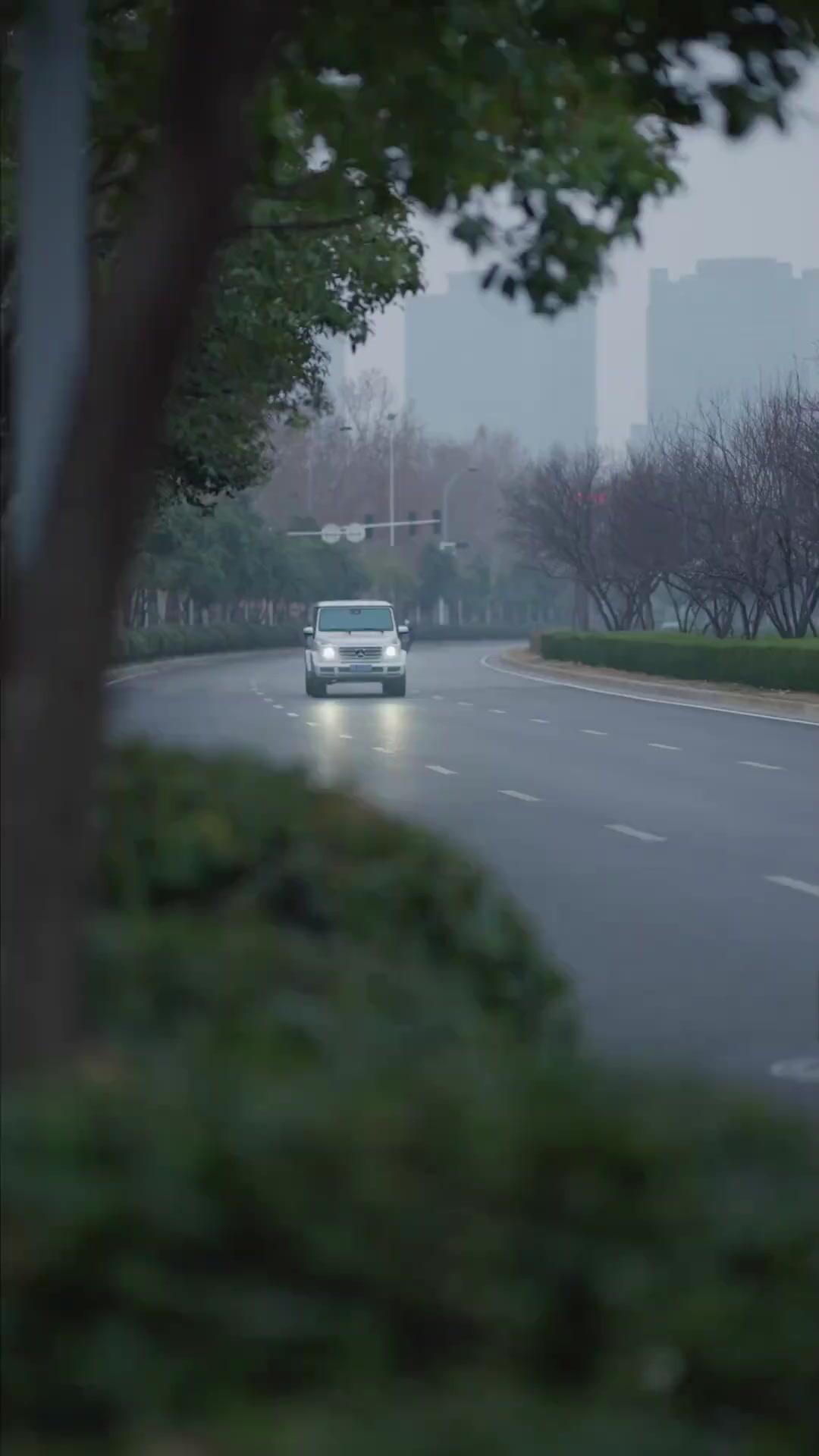 (Dubbed)White Lie, Unfading Love