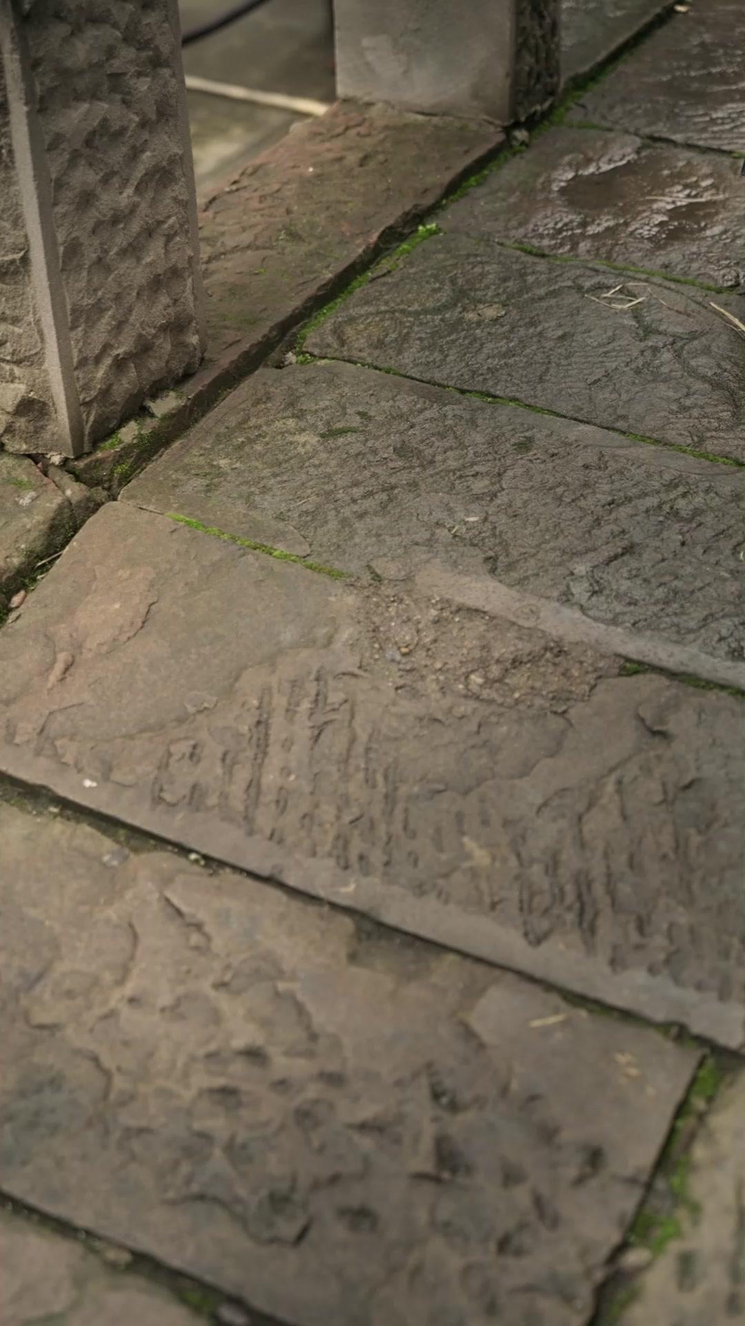 千金墜落風塵，督軍發瘋贖愛