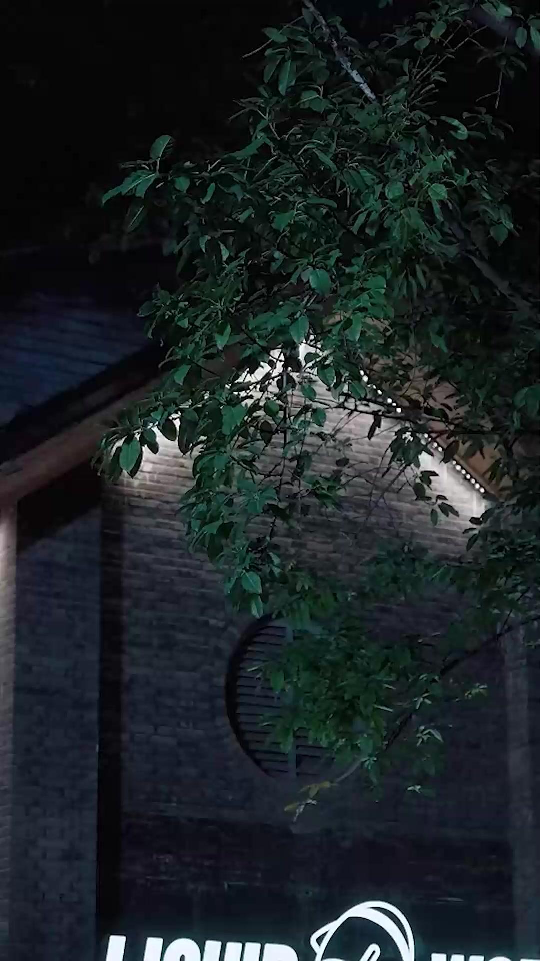 Non è mai tardi per la Luna