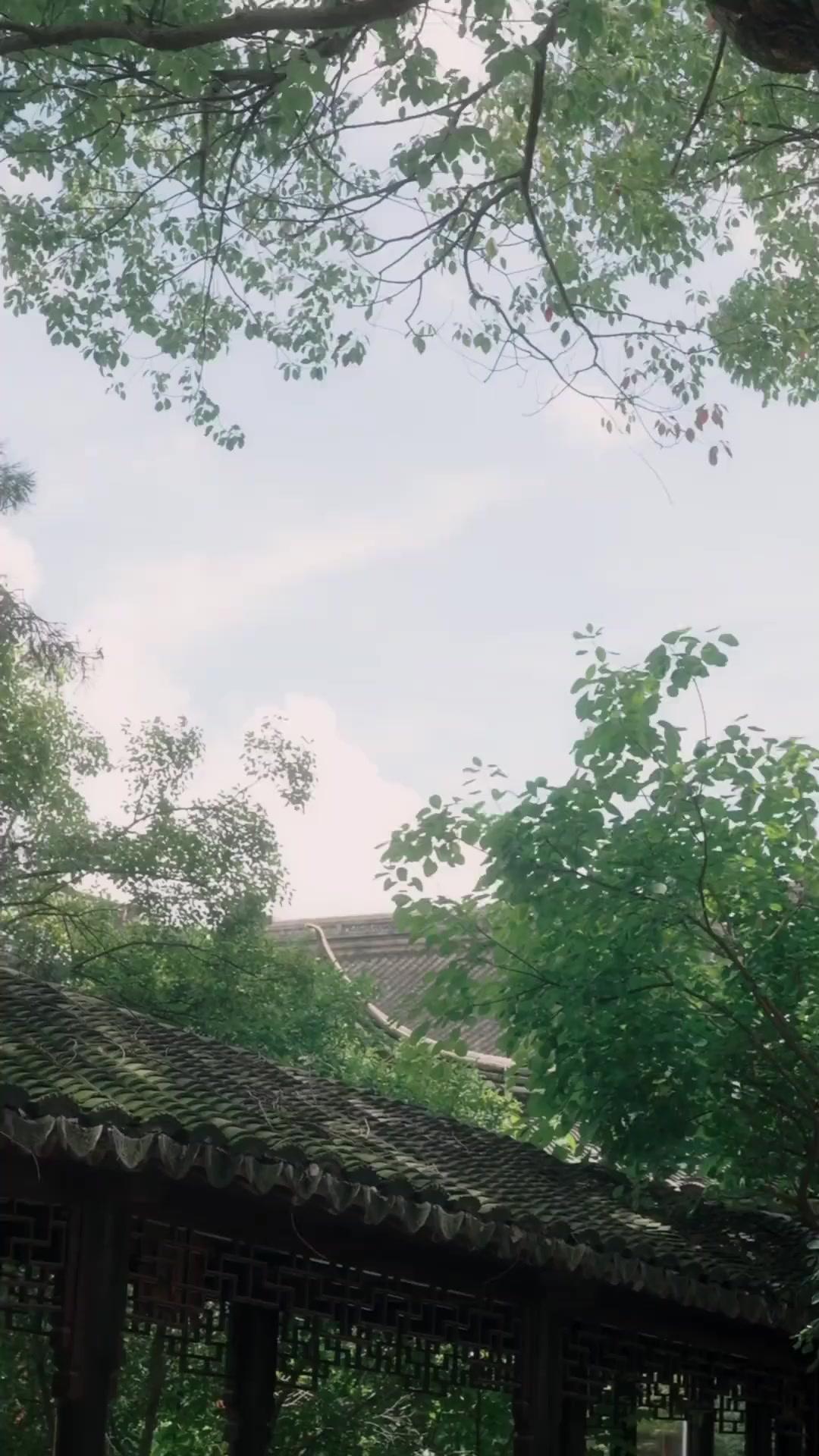 همسات عشق لا تنتهي