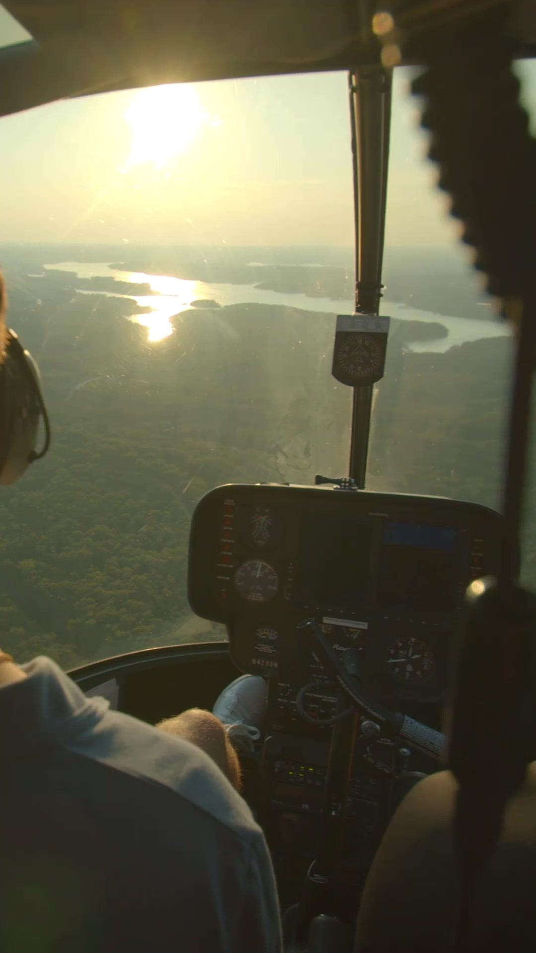 Bunga Mekar Musim Panas