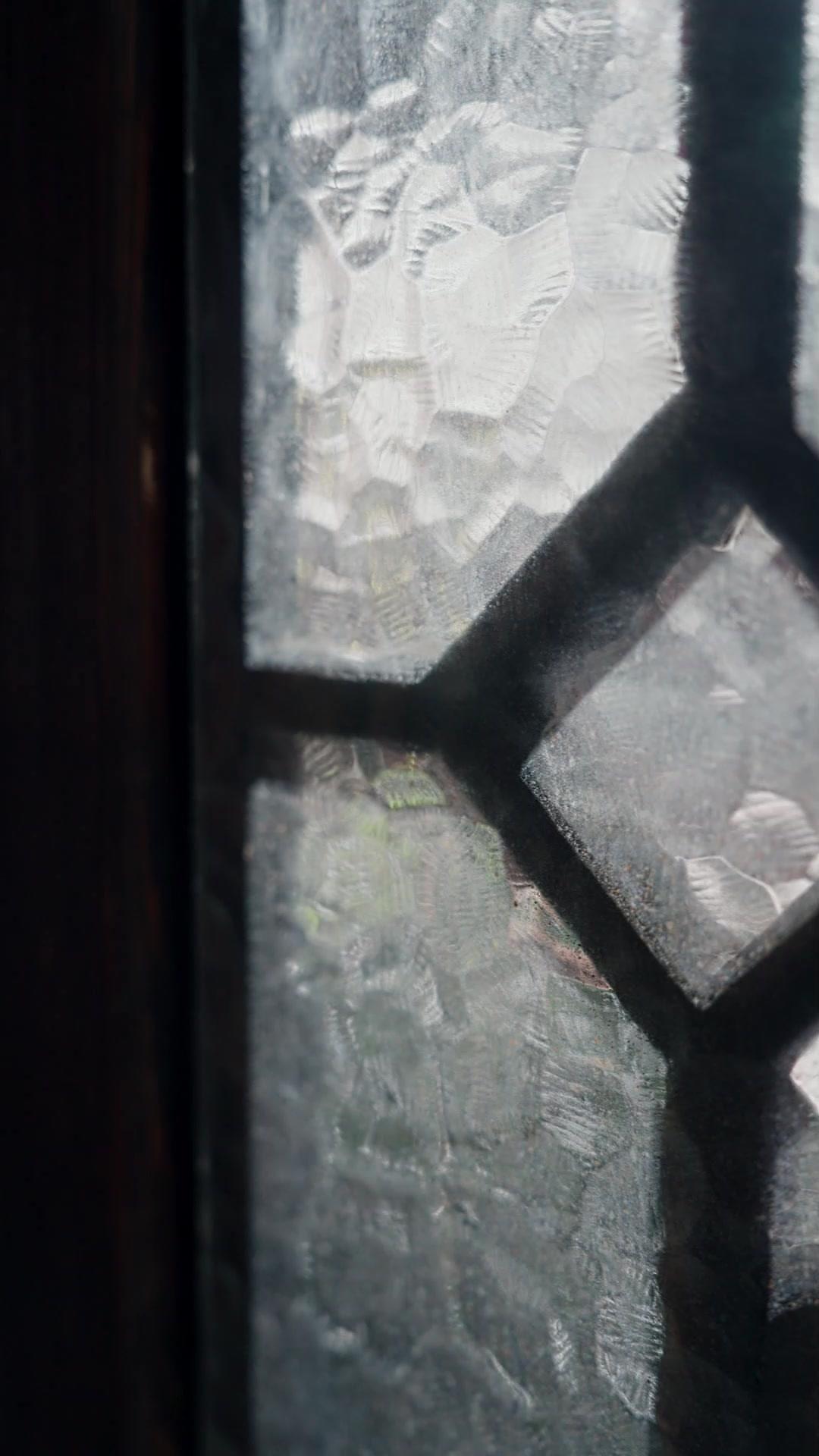 林家有女初針鳴