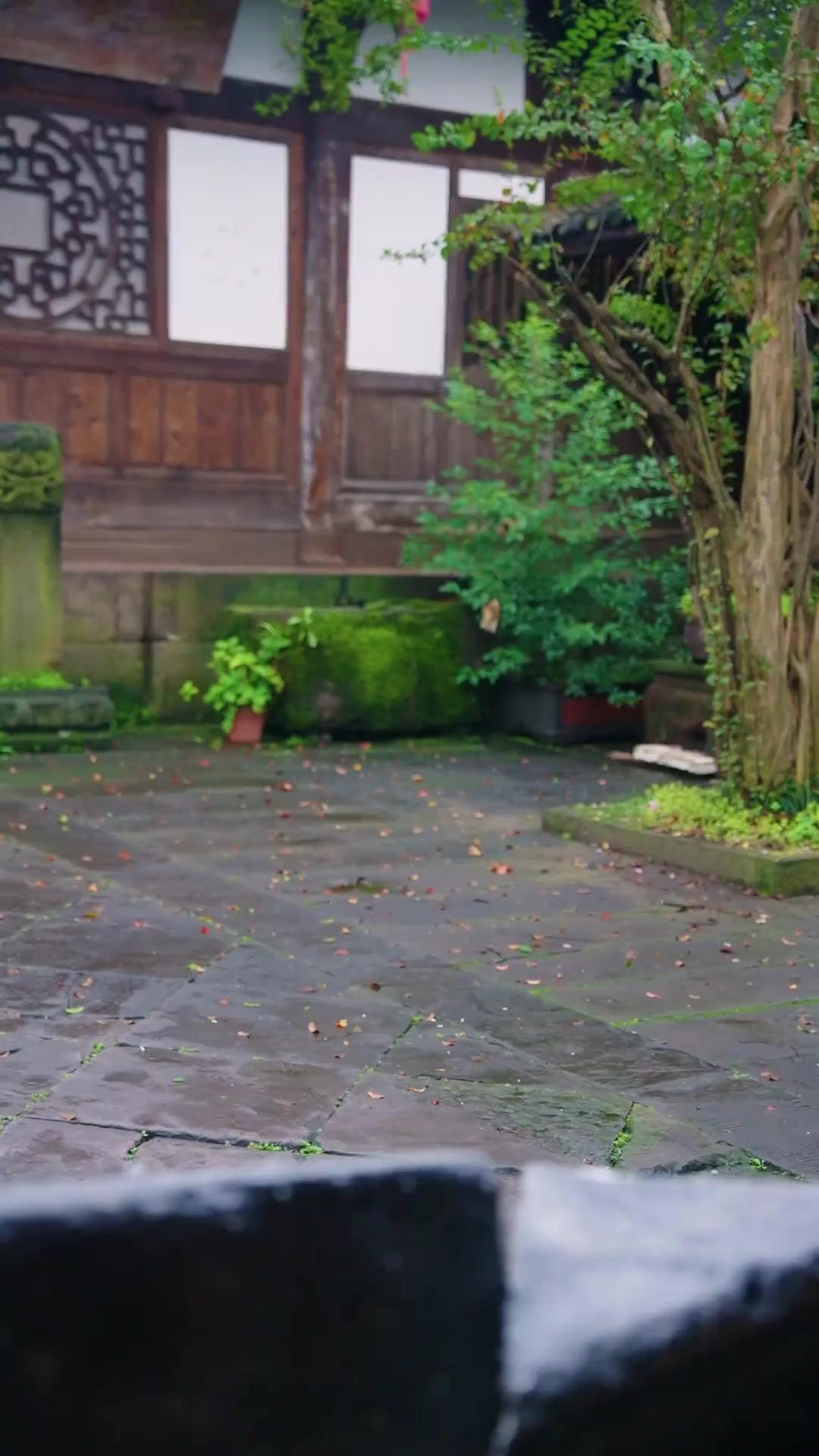 Kaderin Kördüğümü