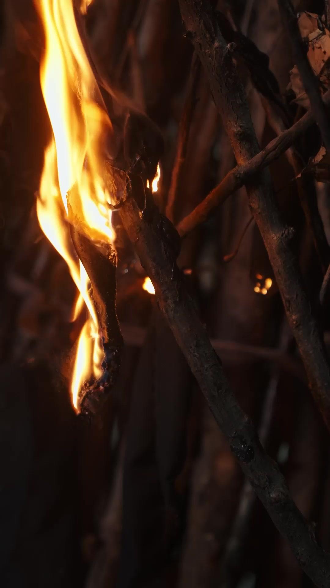 La Ribellione della Principessa