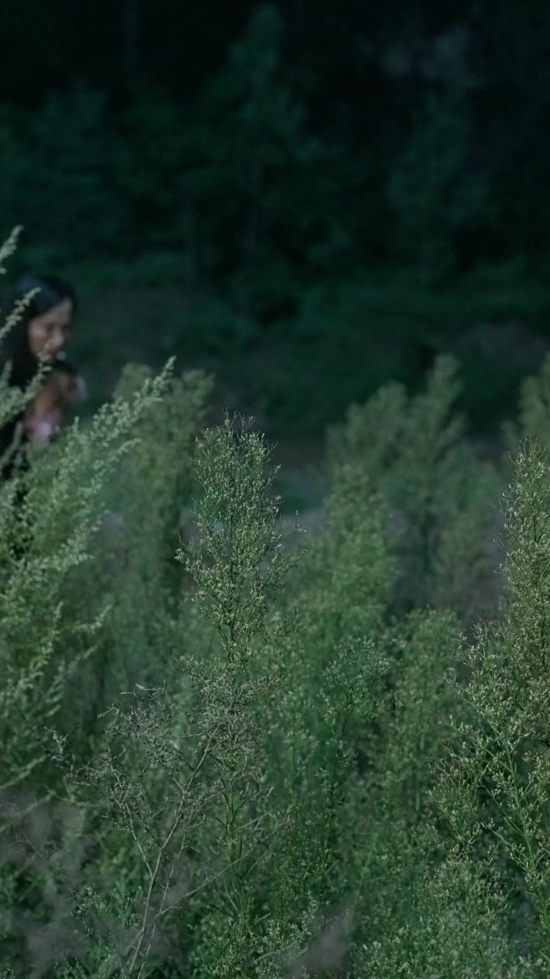 Unutuş Bahçesinde Açan Çiçek