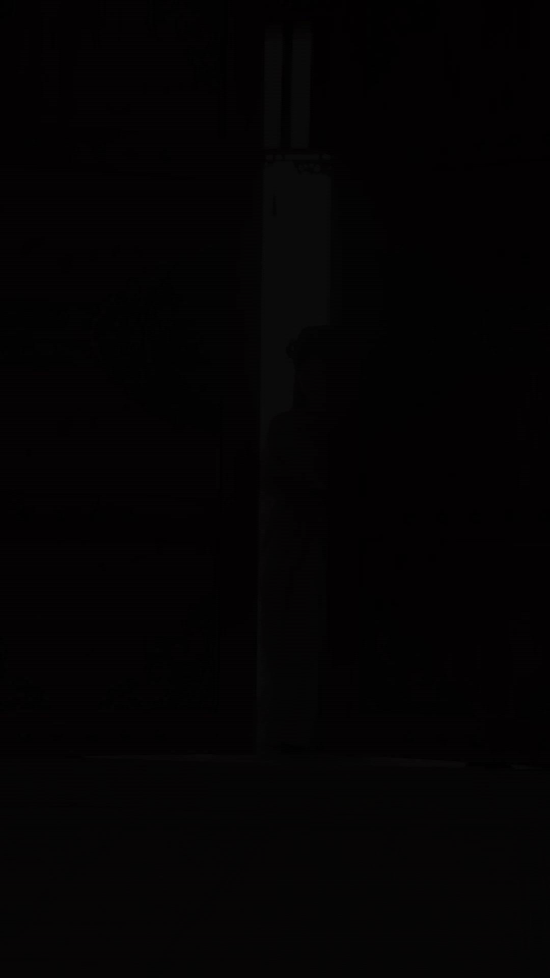 将門の令嬢～鳳冠を踏む復讐の花嫁～