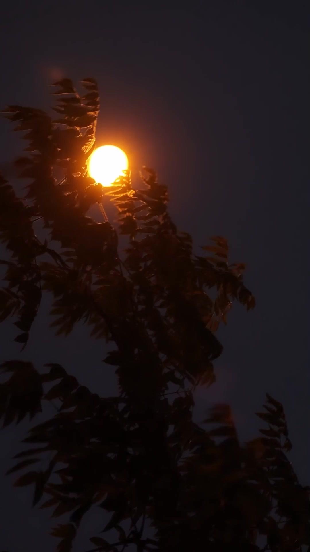 替姐嫁瞎夫，沒想到他是裝的！